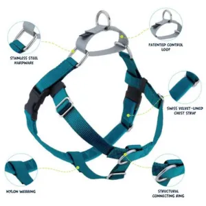 2 Hounds Design Freedom No-Pull Dog Harness With Leash Teal