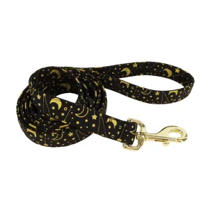 Accent Metallic Dog Leash Stars 5/8 x 6 '