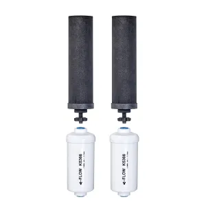 Berkey - 2 Authentic Black Berkey Elements (BB9-2) and 2 Berkey PF-2 Fluoride and Arsenic Reduction Elements