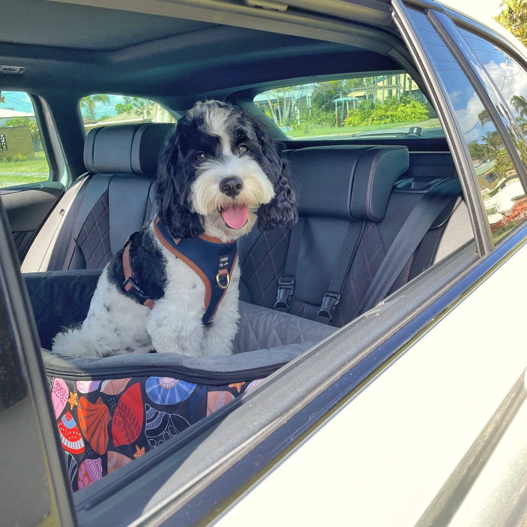 Car Pet Booster Seats DOUBLE Size - Daydream Shells