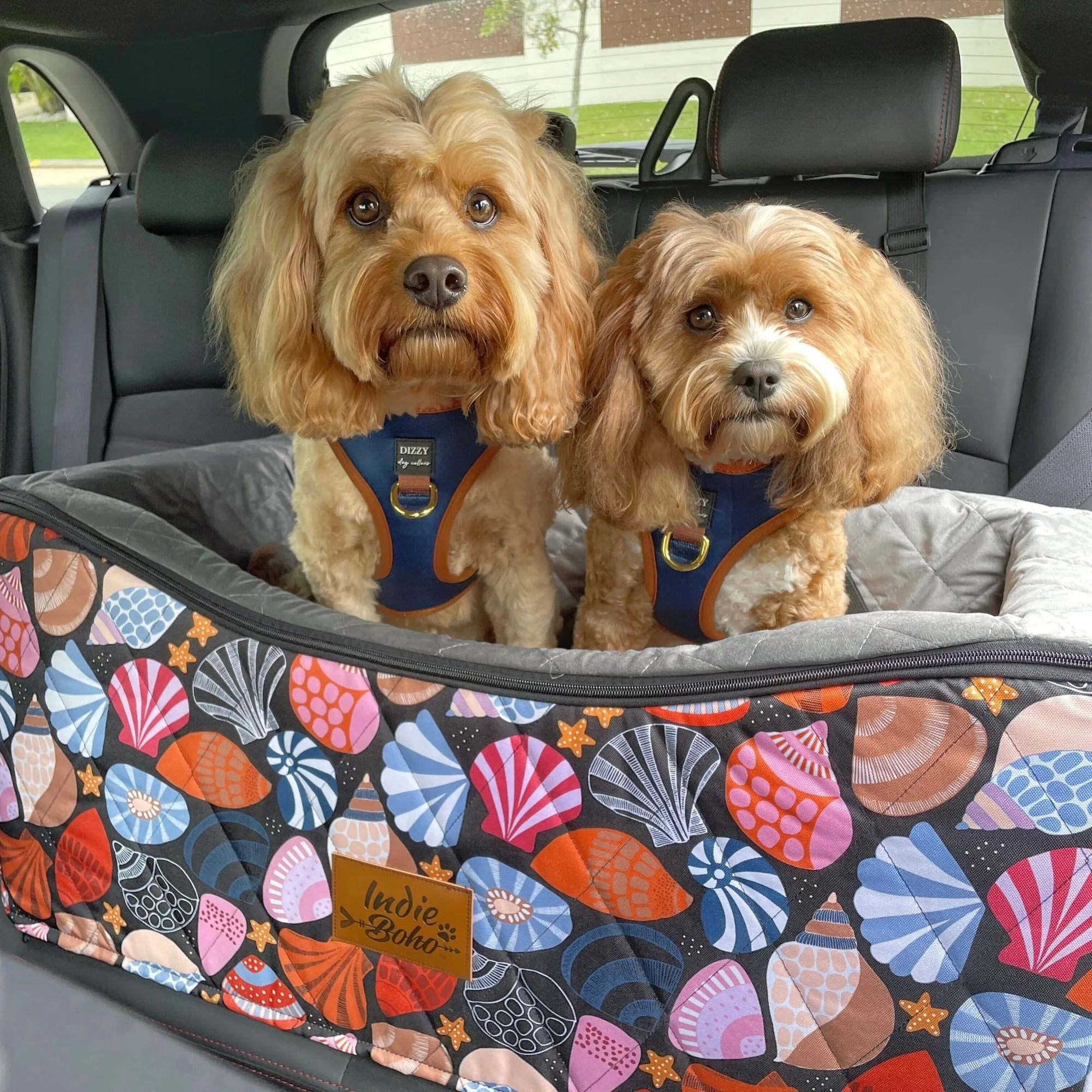 Car Pet Booster Seats DOUBLE Size - Daydream Shells