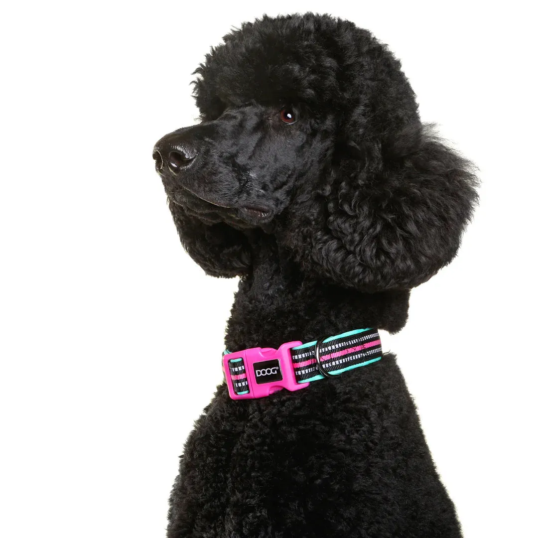 DOOG Neoprene Rin Tin Tin Neon Teal and Pink Dog Collar Small