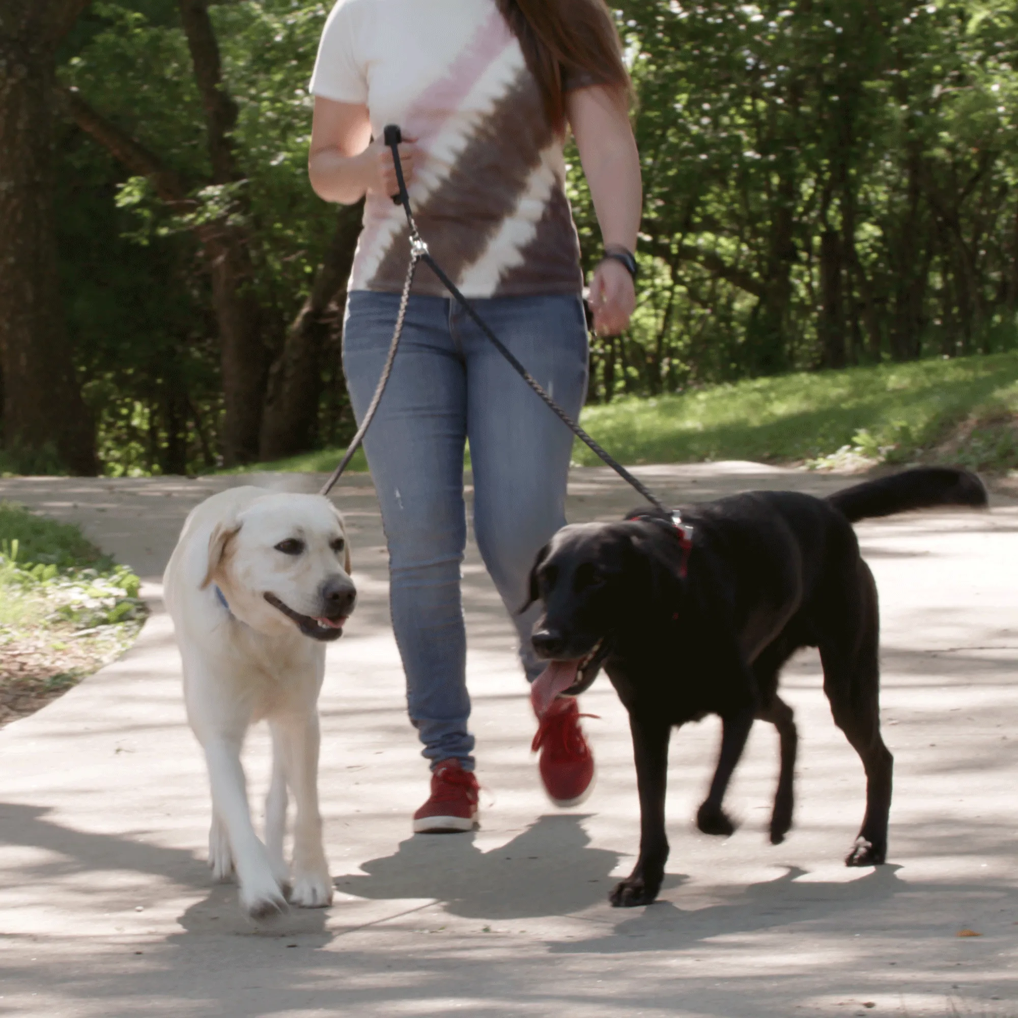 Dual Dog Leash - Black