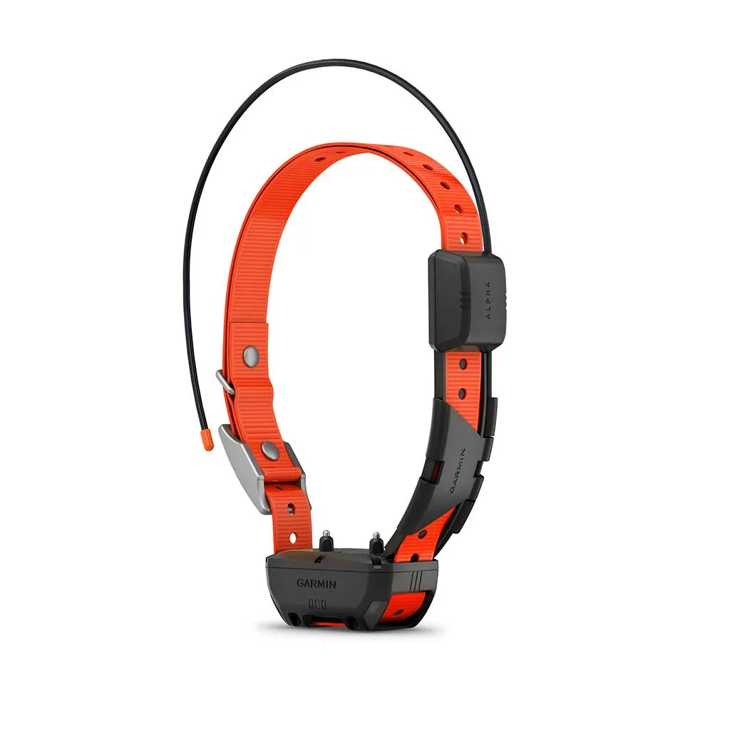 Garmin Alpha TT25 Dog Collar