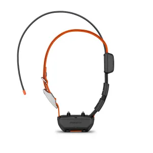 Garmin Alpha TT25 Dog Collar