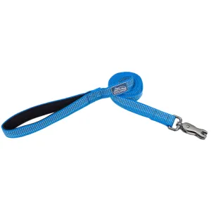 K9 Explorer Brights Reflective Dog Leash, Blue 1 x 6'