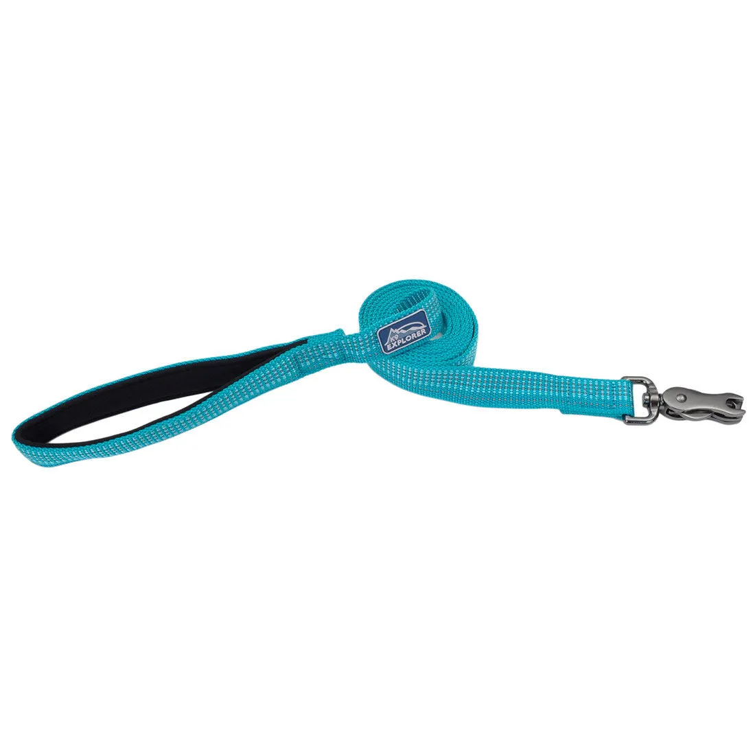 K9 Explorer Brights Reflective Dog Leash, Teal 5/8 x 6'