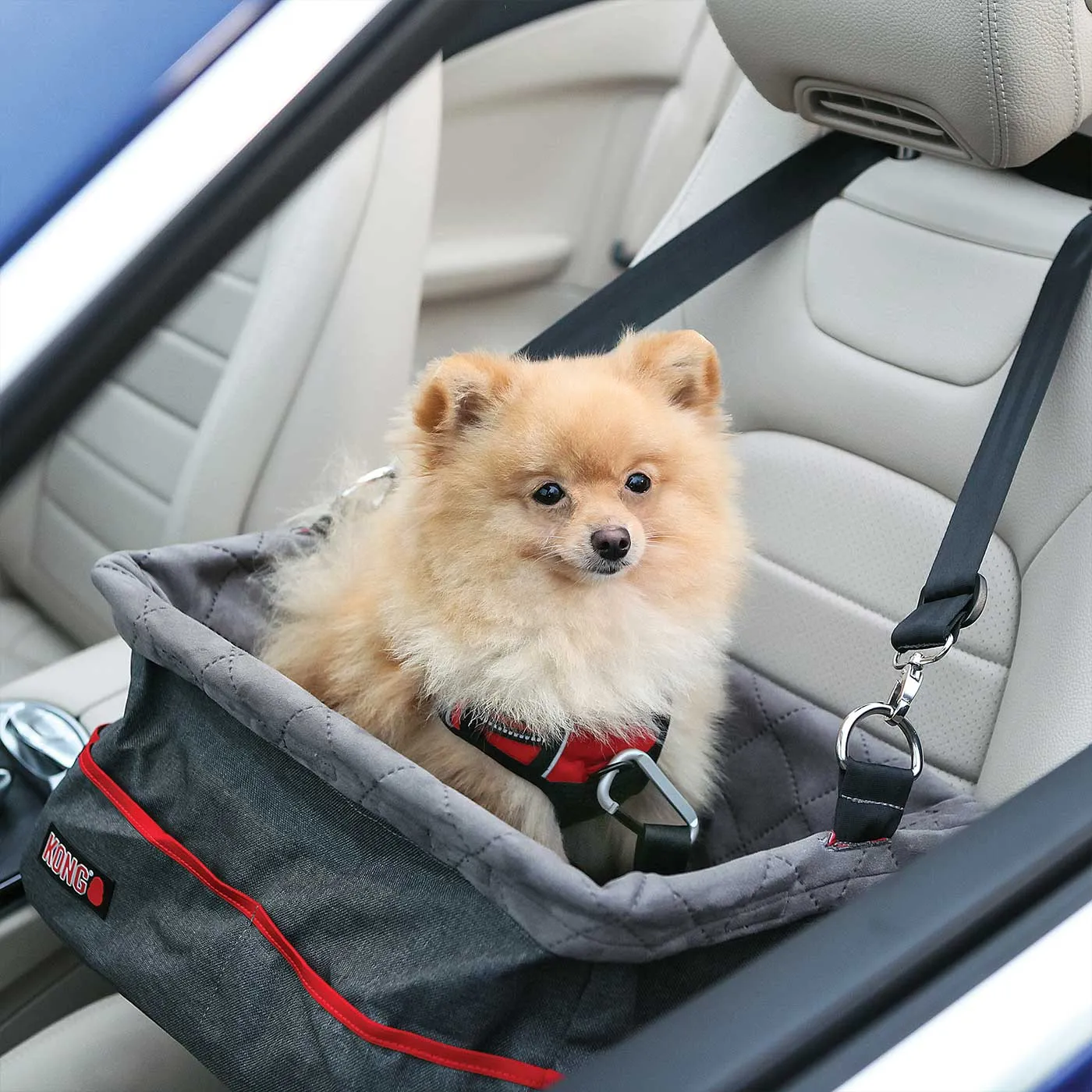 KONG Secure Booster Seat for Dogs