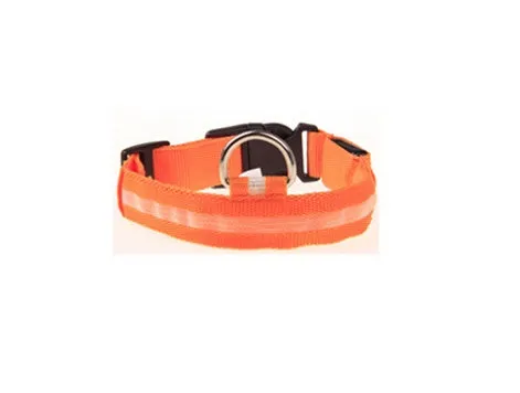 LED Night Safety Dog Collar