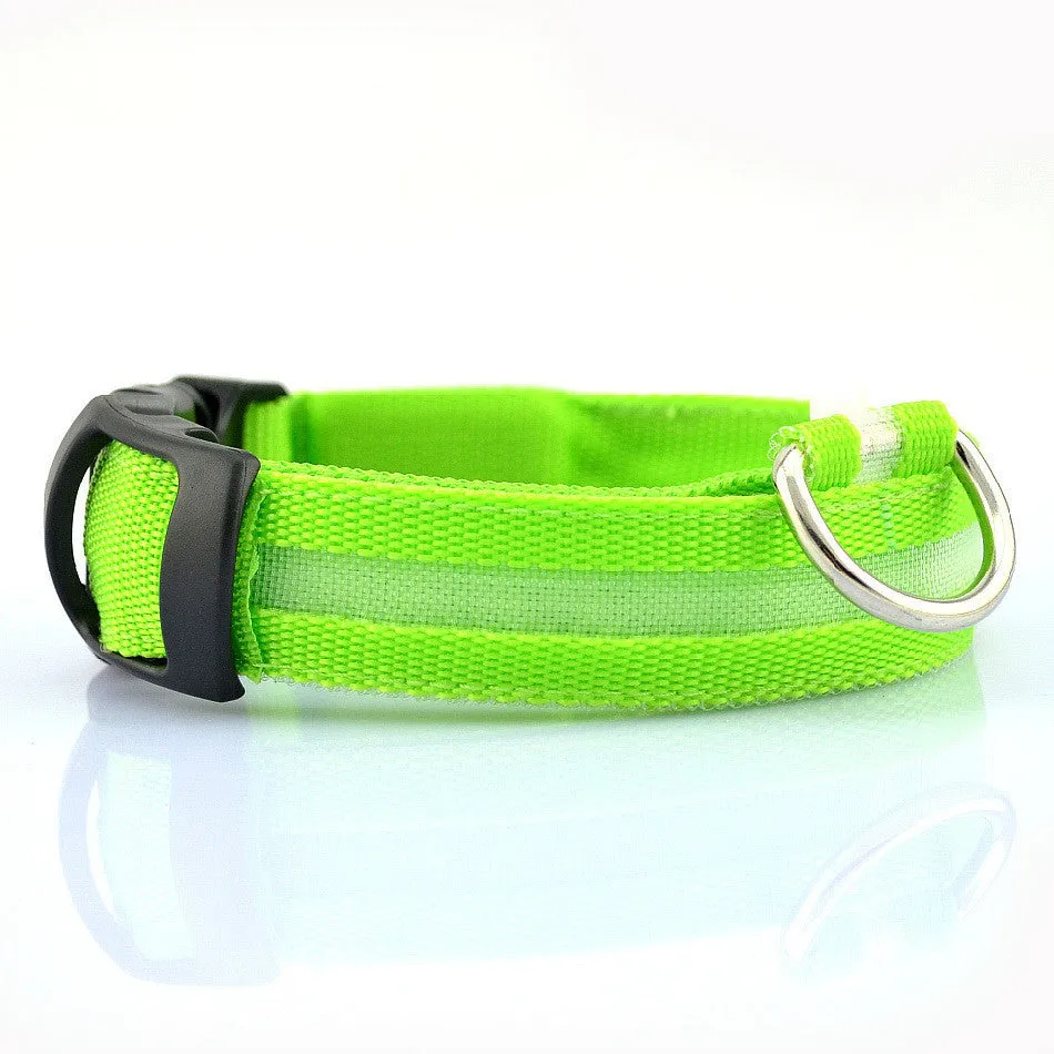 LED Night Safety Dog Collar