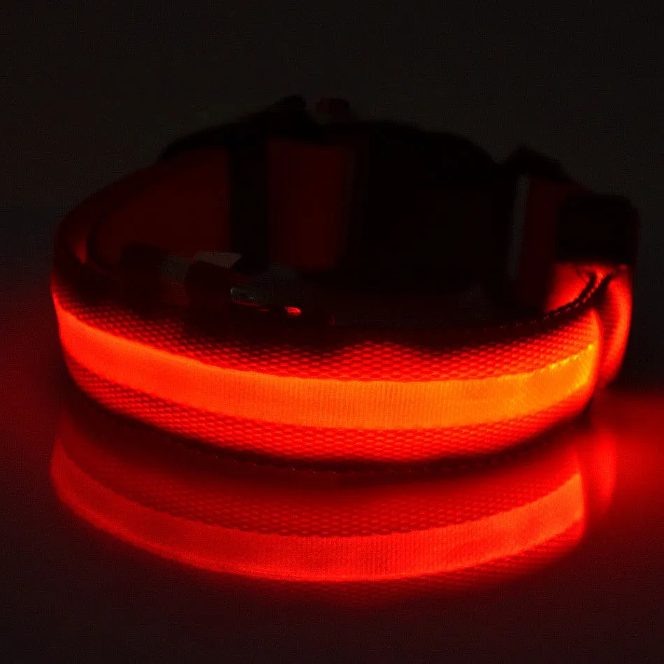 LED Night Safety Dog Collar