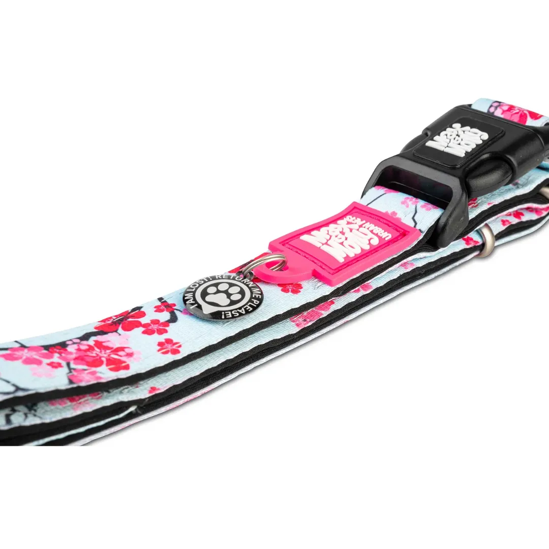 Max & Molly Cherry Blossom Smart ID Dog Collar