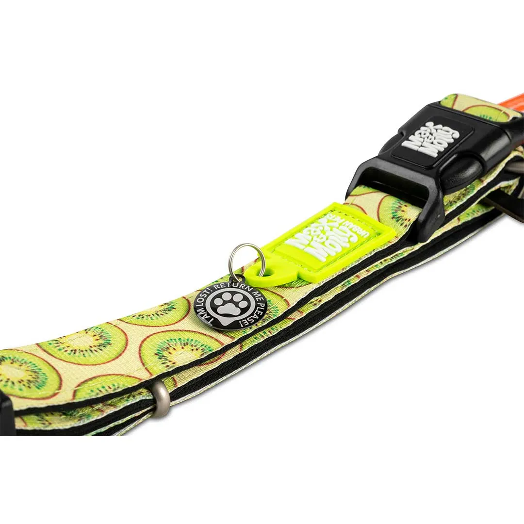 Max & Molly Kiwi Smart ID Dog Collar Extra Small