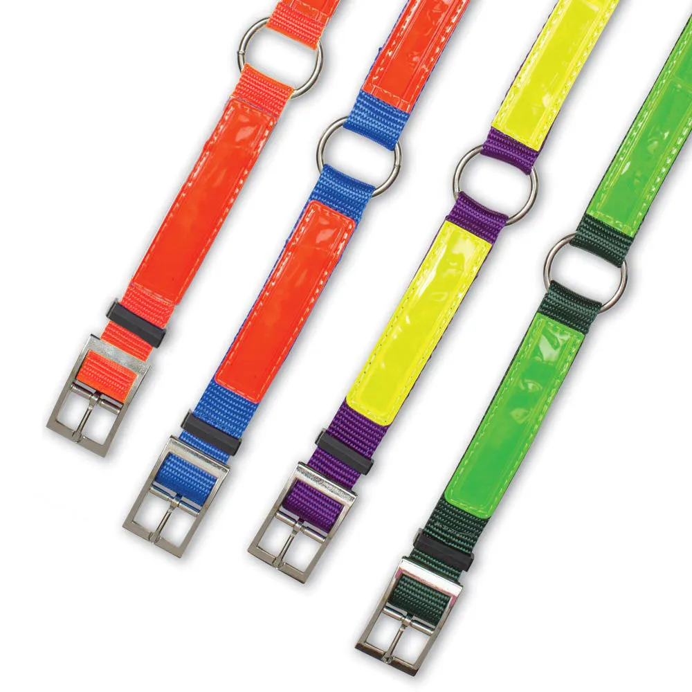 Reflective Nite Lite Nylon 3/4 Dog Collar with Ring-N-Center - Optimized E-Commerce Product Title