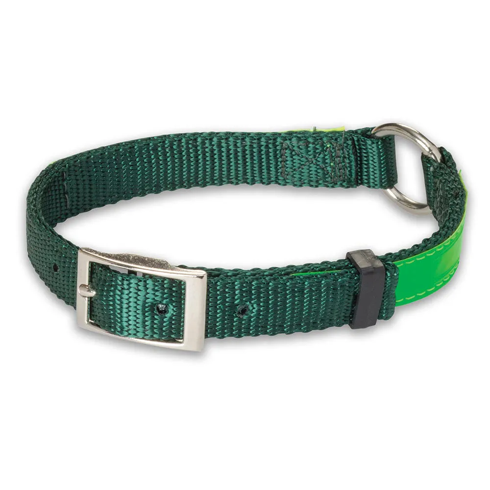 Reflective Nite Lite Nylon 3/4 Dog Collar with Ring-N-Center - Optimized E-Commerce Product Title