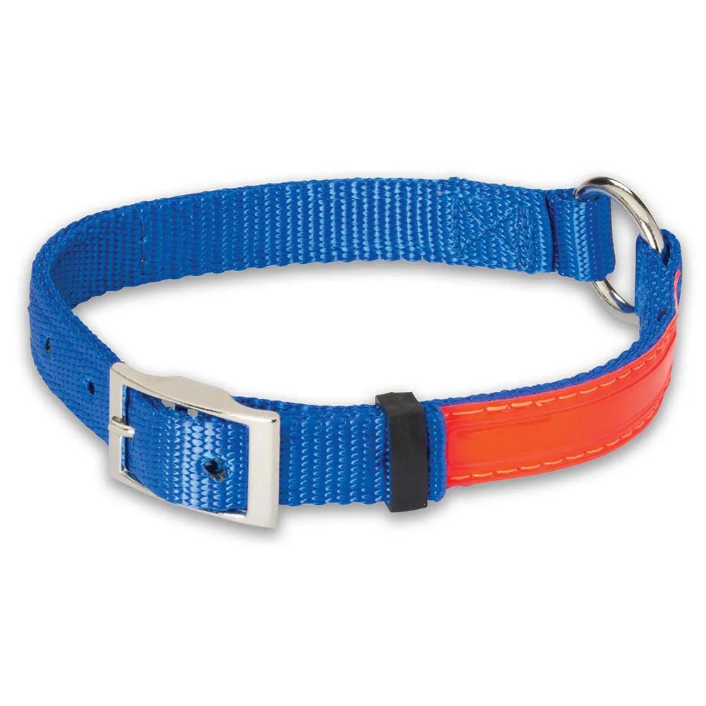 Reflective Nite Lite Nylon 3/4 Dog Collar with Ring-N-Center - Optimized E-Commerce Product Title