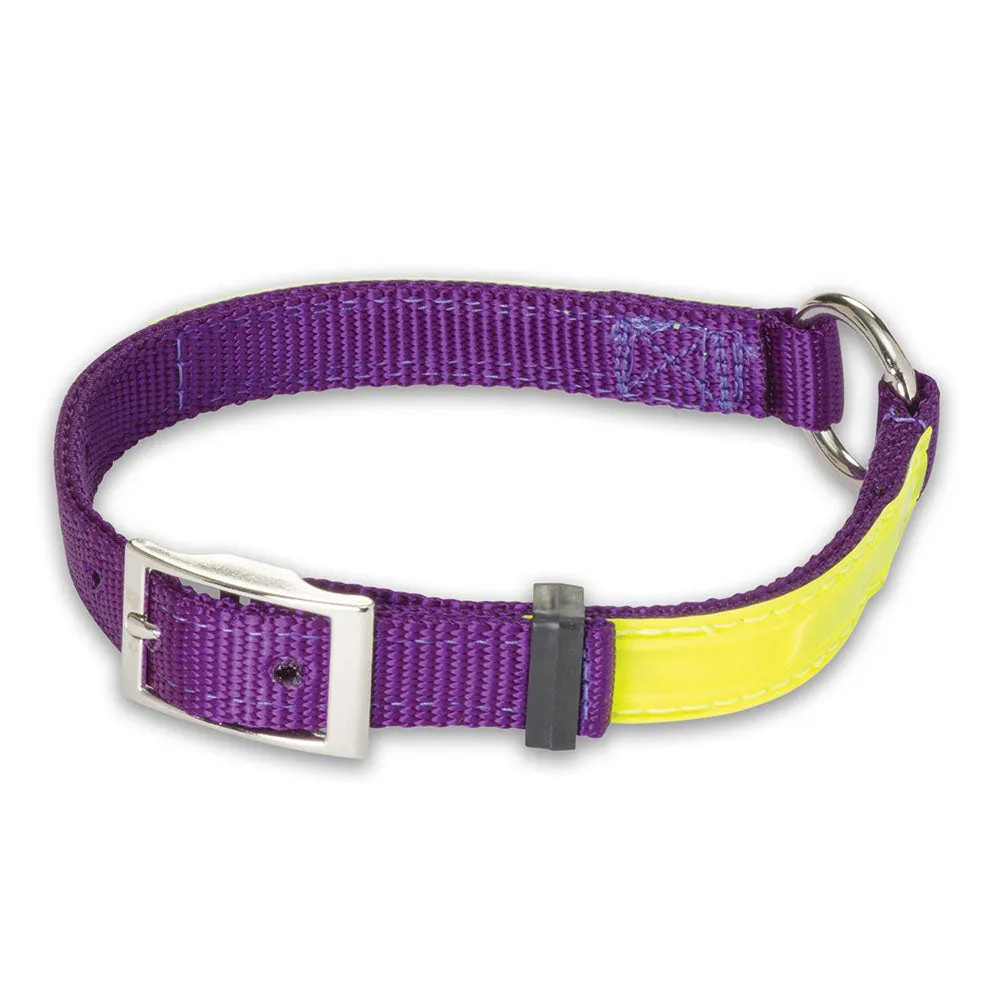 Reflective Nite Lite Nylon 3/4 Dog Collar with Ring-N-Center - Optimized E-Commerce Product Title