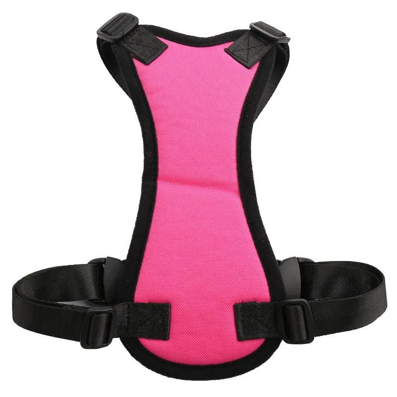 Petsafe Travel Harness: Secure and Stylish Car Restraint for Your Furry Friend