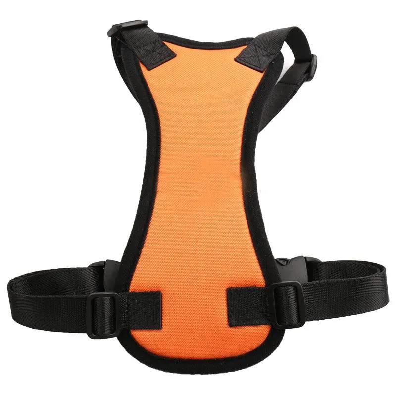 Petsafe Travel Harness: Secure and Stylish Car Restraint for Your Furry Friend