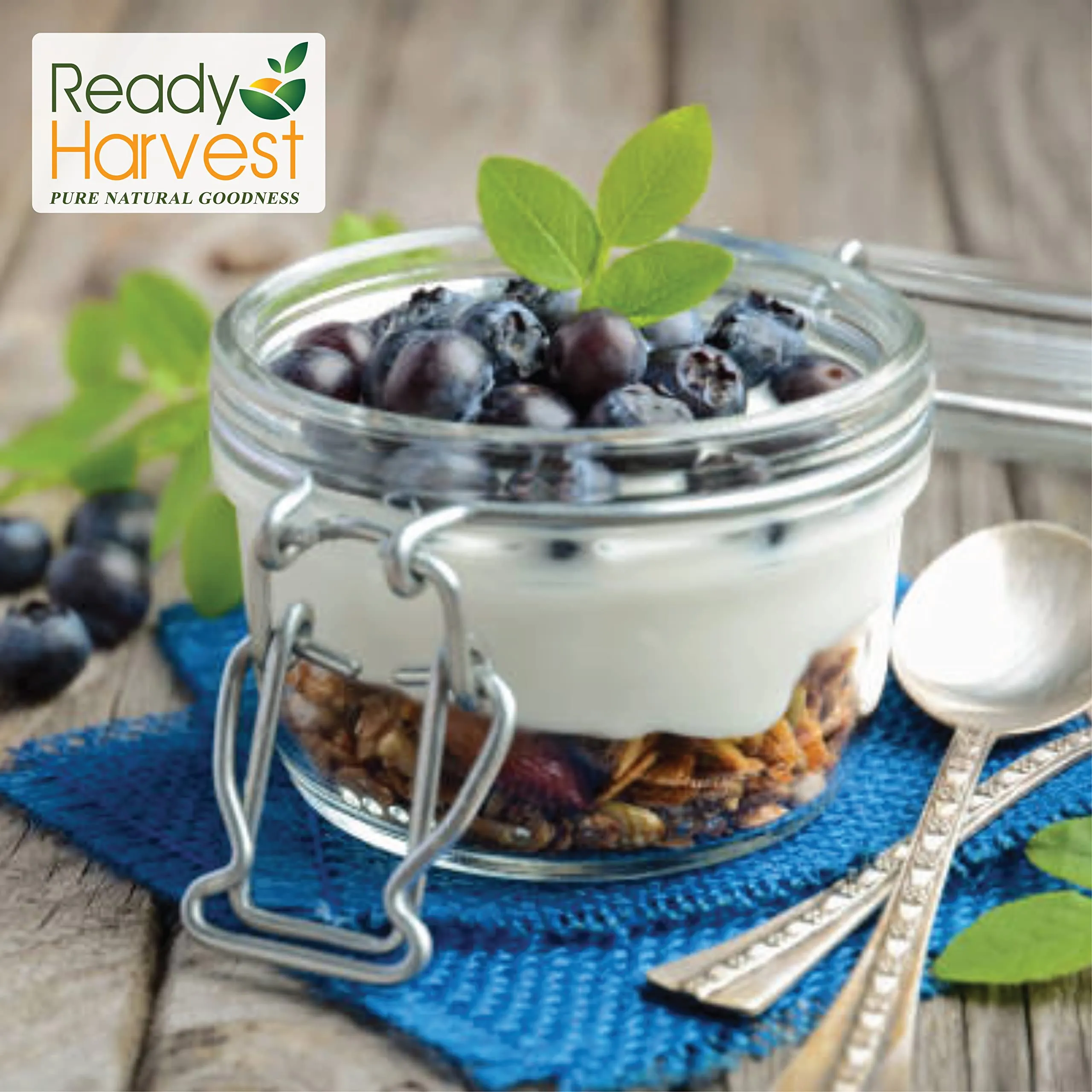 Ready Harvest Freeze-Dried Blueberries - 30 Year Shelf Life - #10 Can