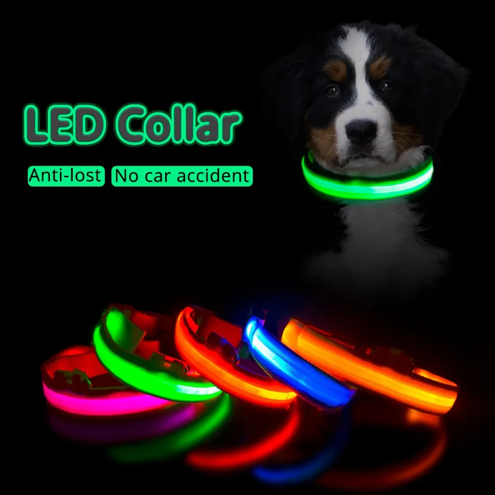 Rechargeable LED Glow Collar