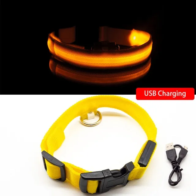 Rechargeable LED Glow Collar