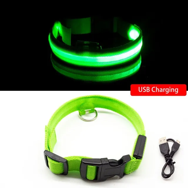 Rechargeable LED Glow Collar