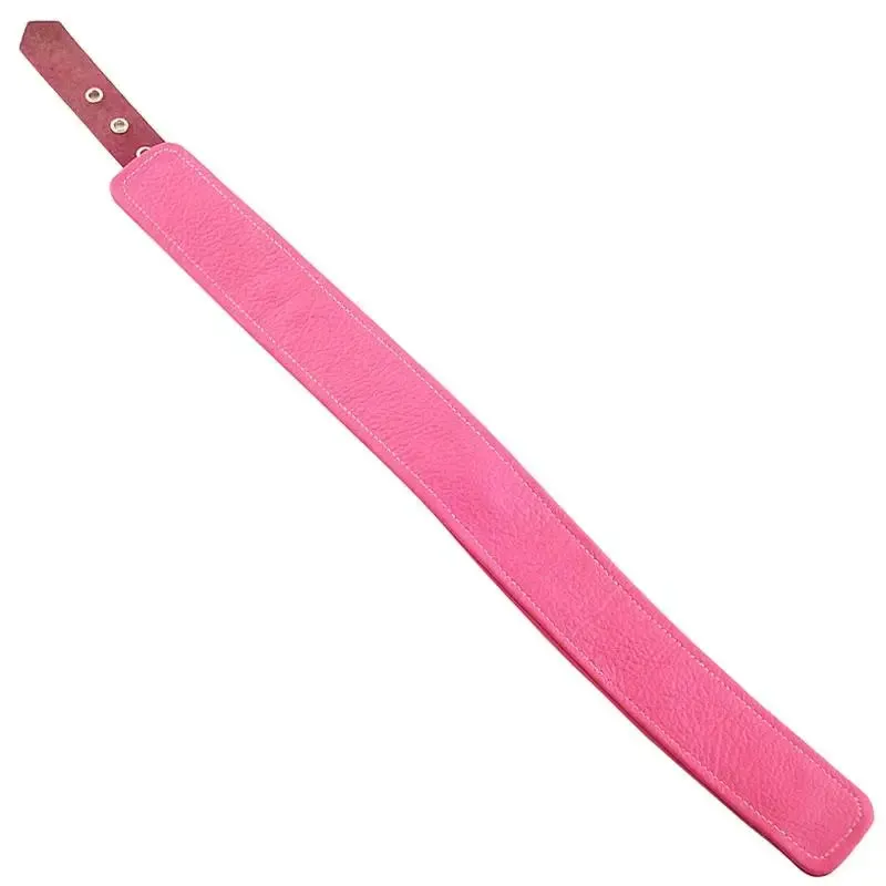 Rouge Garments Adjustable Pink Leather Collar with Strap