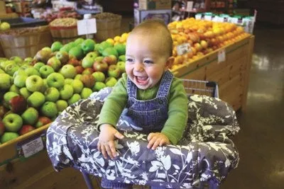 Shopping Cart Cover