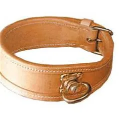 Traditional Leather Tracking Collars